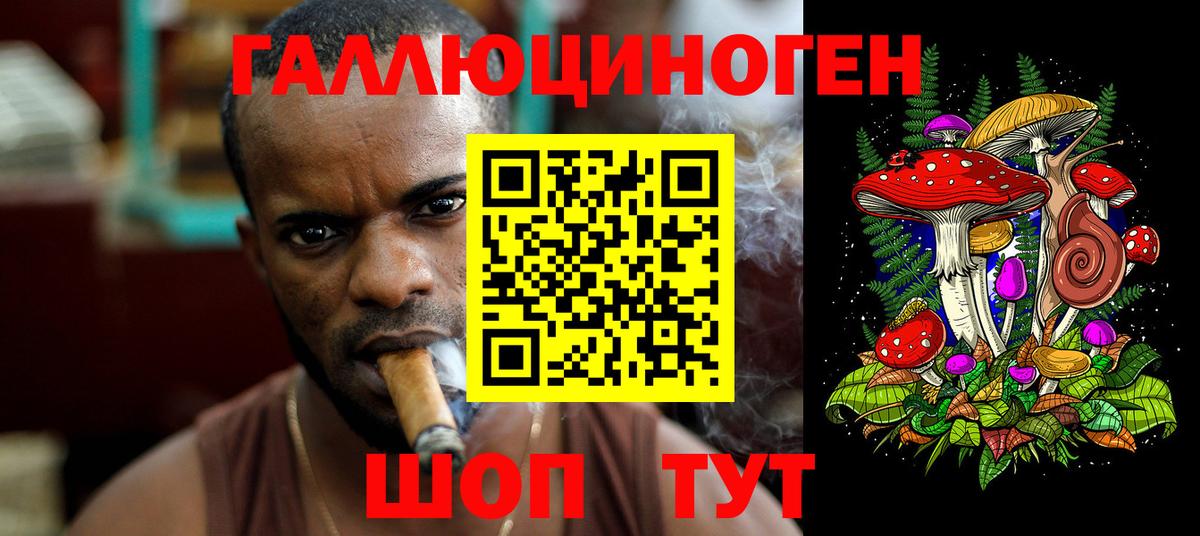 Псилоцибиновые грибы GOLDEN TEACHER  Галлюциногенные грибы Psilocybe  Вход с VPN  Абакан 